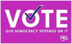 Vote 411 Yard Sign