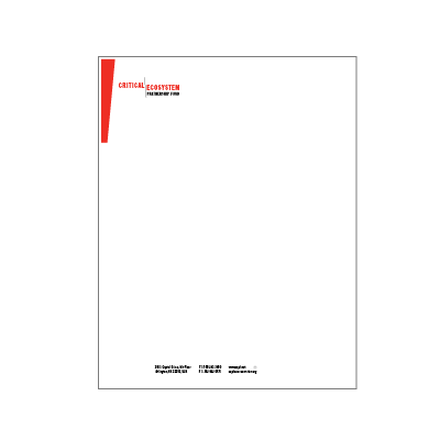 CEFP Standard Letterhead