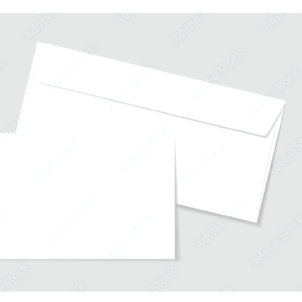 #10 Standard Envelope